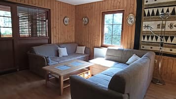 Smart TV, fireplace, books, stereo