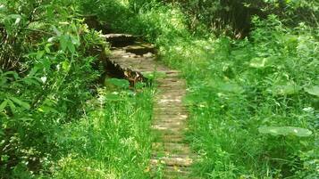 Àrea exterior de l'allotjament