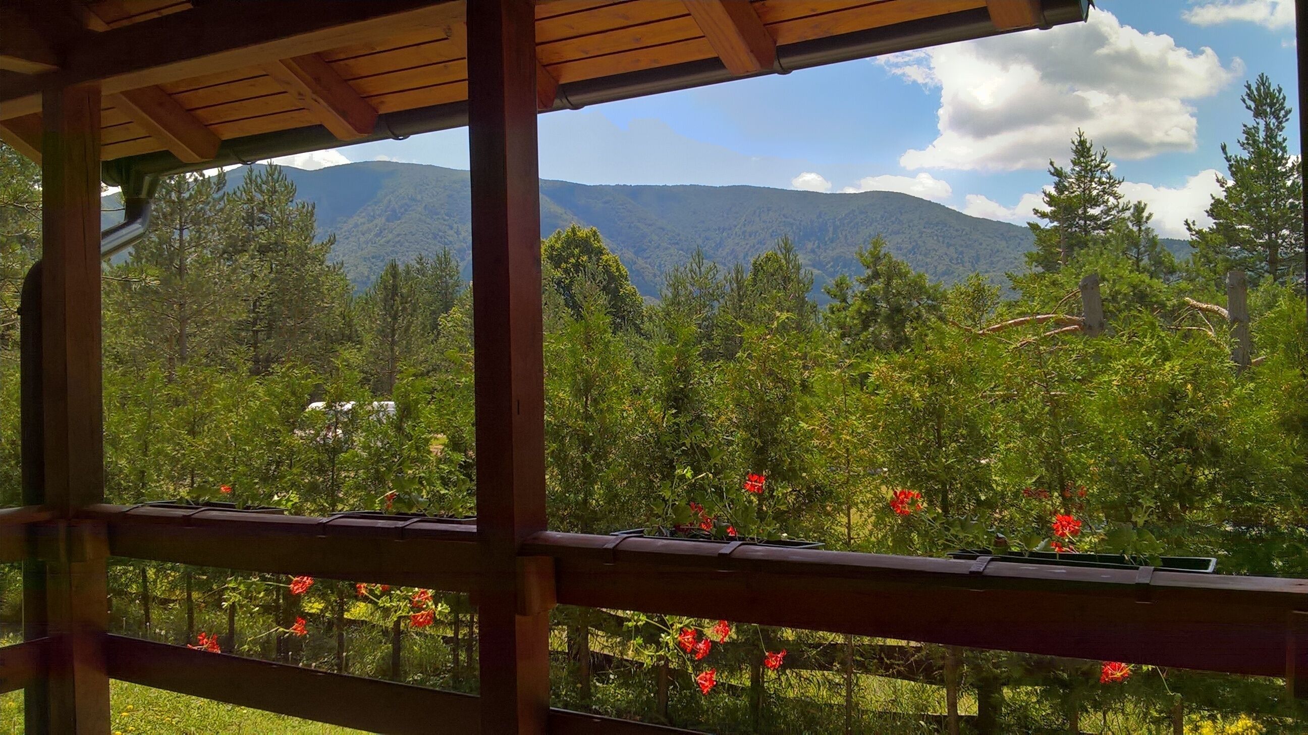 Overnatningsstedets område