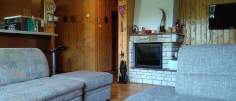 スマートテレビ、暖炉、書庫、ステレオ