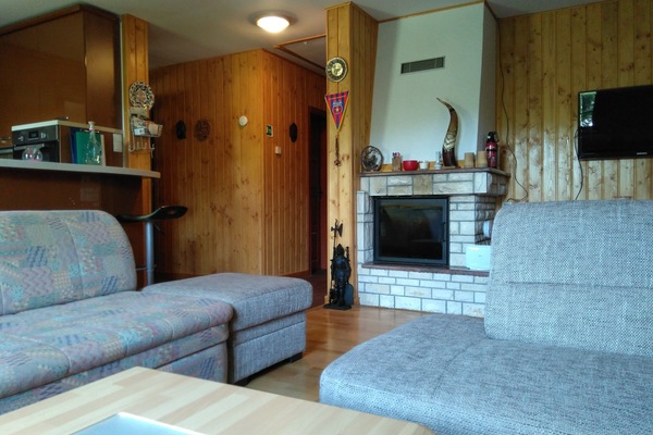 living room, fireplace, cable TV, free WiFi