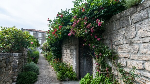 Ein schmaler Steinweg, gesäumt von üppigem Grün und blühenden Pflanzen, führt zu einem traditionellen Steinhaus mit einer Holztür.