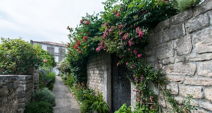 Visit our lovely three storey family house surrounded by spacious garden