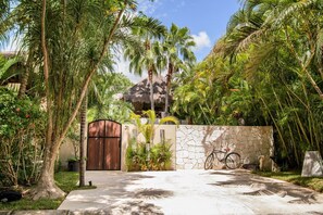 Enter a tropical paradise with a pathway leading to a charming entrance.