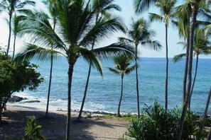 Sun loungers, beach towels - BEST OCEANFRONT VIEWS in KONA, HI - Newly Remodeled Condo (Kailua-Kona)