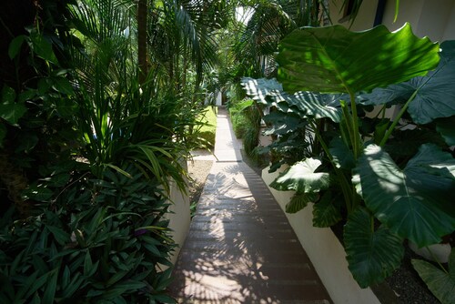 Only 350 meters from Tamarindo beach and downtown. In quiet and safe area. 