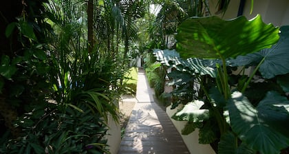 Only 350 meters from Tamarindo beach and downtown. In quiet and safe area.