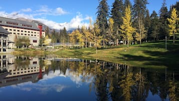 Ulkopuoli
