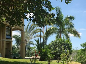 Property grounds - Nestled in the tropical rainforest with fabulous, unobstructed views! (Chacarita)