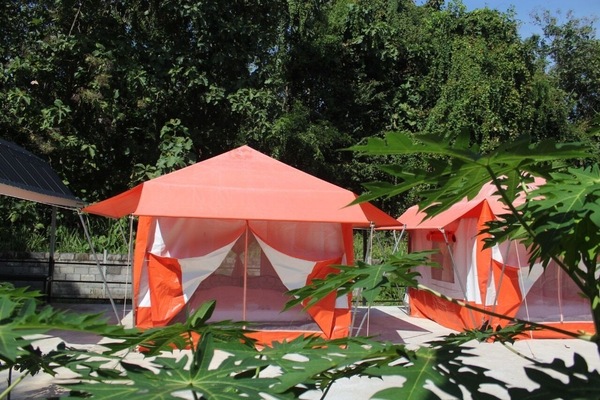 Tent | WiFi (free)