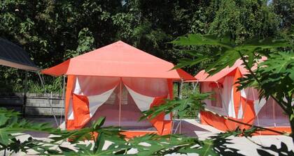 Demy Home
