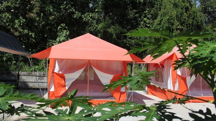 Demy Home
