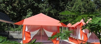 Demy Home