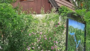 Une maison en bois avec un toit à pente, des volets en bois et un jardin où poussent des fleurs roses.
