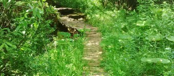Book Family friendly cozy Apartment at Plitvice