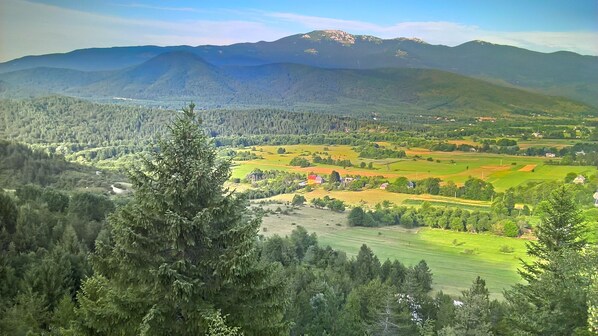 Nicht klassifiziertes Bild, 1 von 28, Schaltfläche