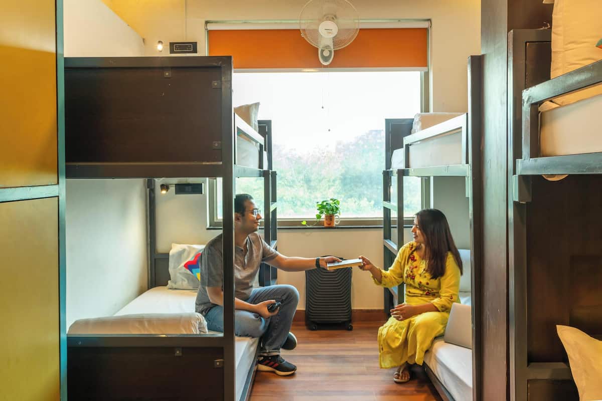 A dormitory room with bunk beds, a fan, a window with a view of greenery, and a small potted plant on the windowsill.
