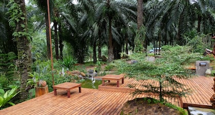 Tonpalm Farmstay