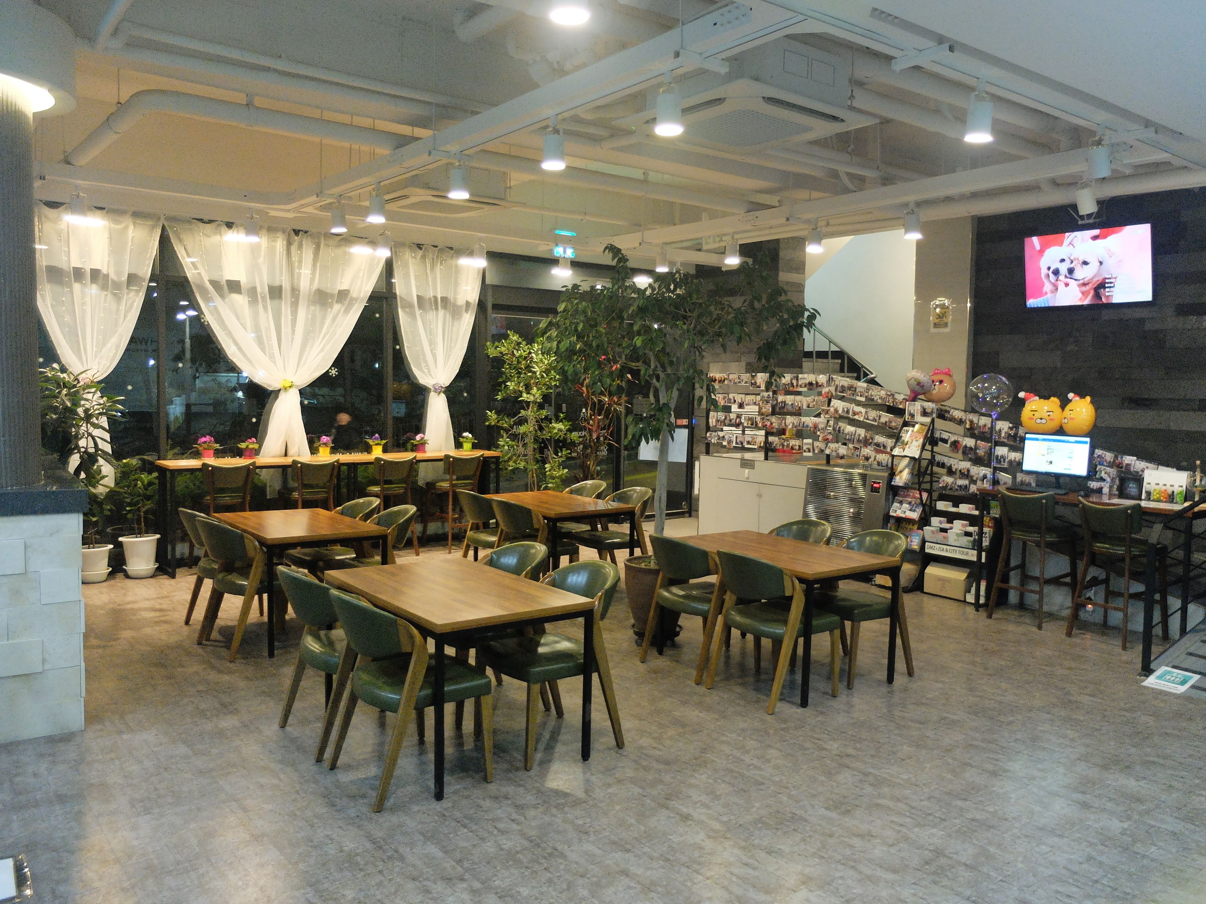 Un restaurante con mesas y sillas de madera, una planta grande y una pared con una pantalla de televisión.