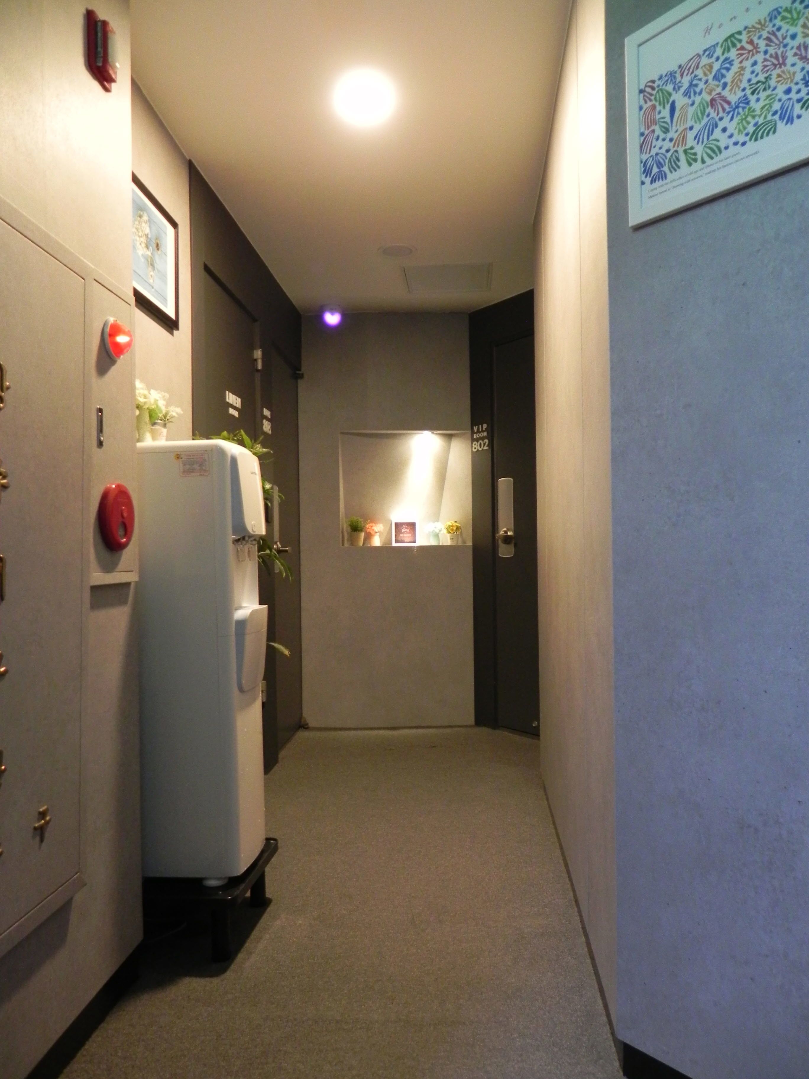 Un pasillo estrecho con un refrigerador a la izquierda, una puerta con el letrero 'VIP Room 802', y una obra de arte enmarcada en la pared.