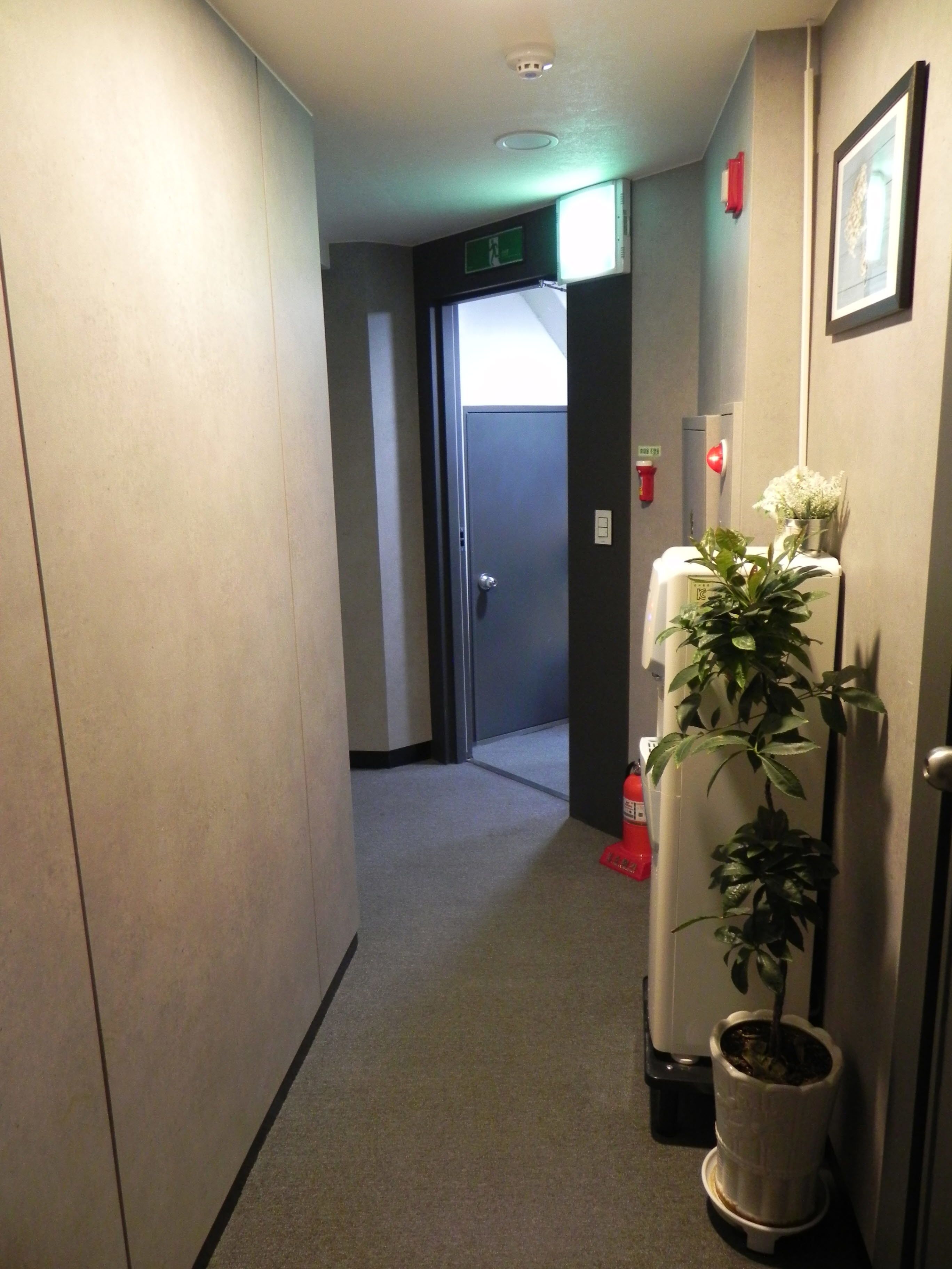 Un couloir avec une porte au fond, un extincteur et une plante en pot.