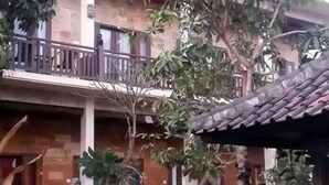 A multi-story building with balconies, a covered area with a tiled roof, and several potted plants. - Kubu B'dauh Homestay (Legian)