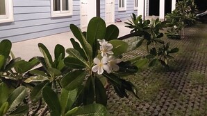Property grounds - Vanilla Ville Resort (Khlong Thom)