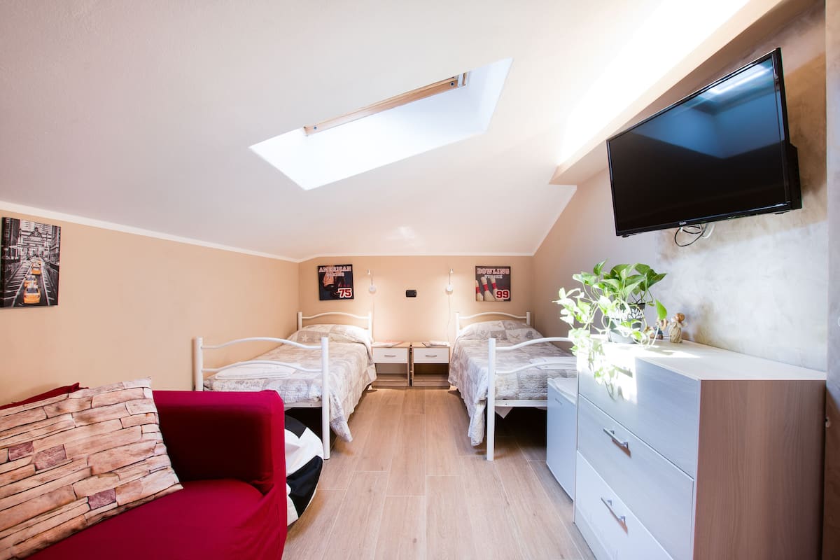 A bedroom with two beds, a TV, a desk, and a plant.