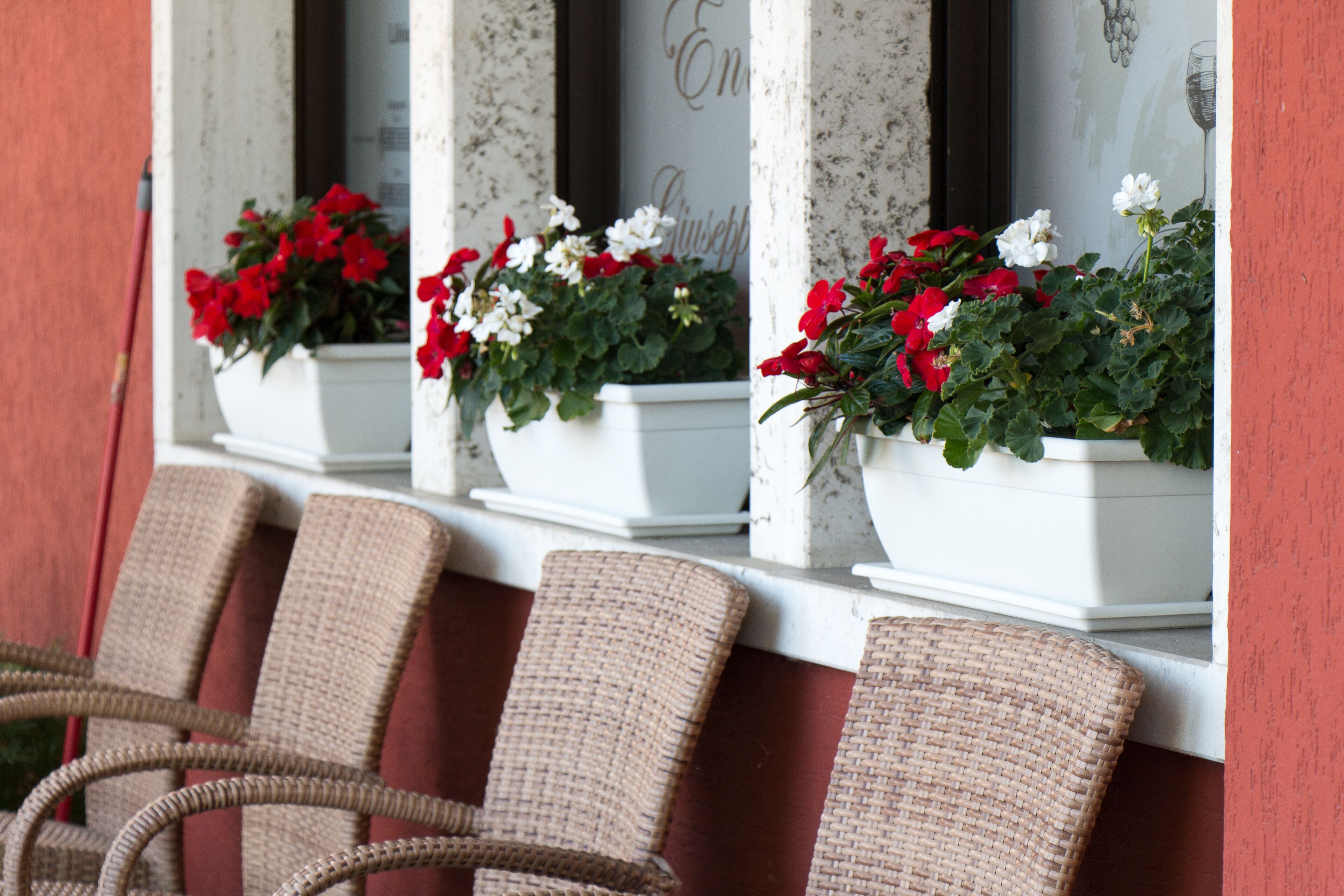 Wicker chairs and flower pots on a window sill.