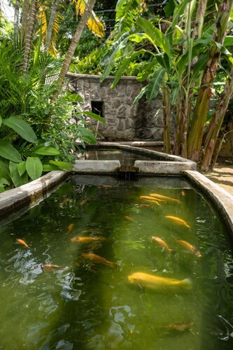 Felicie Cottage & Residence