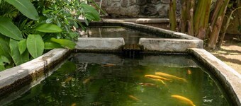 Felicie Cottage & Residence