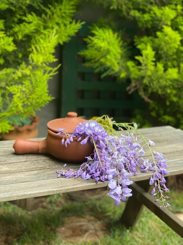 Una maceta de terracota y flores moradas sobre una mesa de madera al aire libre.