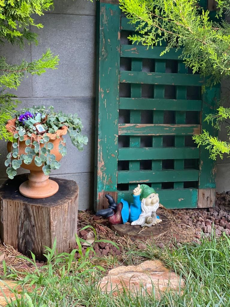 A garden with a terracotta pot, a green wooden gate, and a gnome statue.