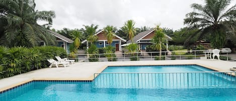 Outdoor pool, sun loungers