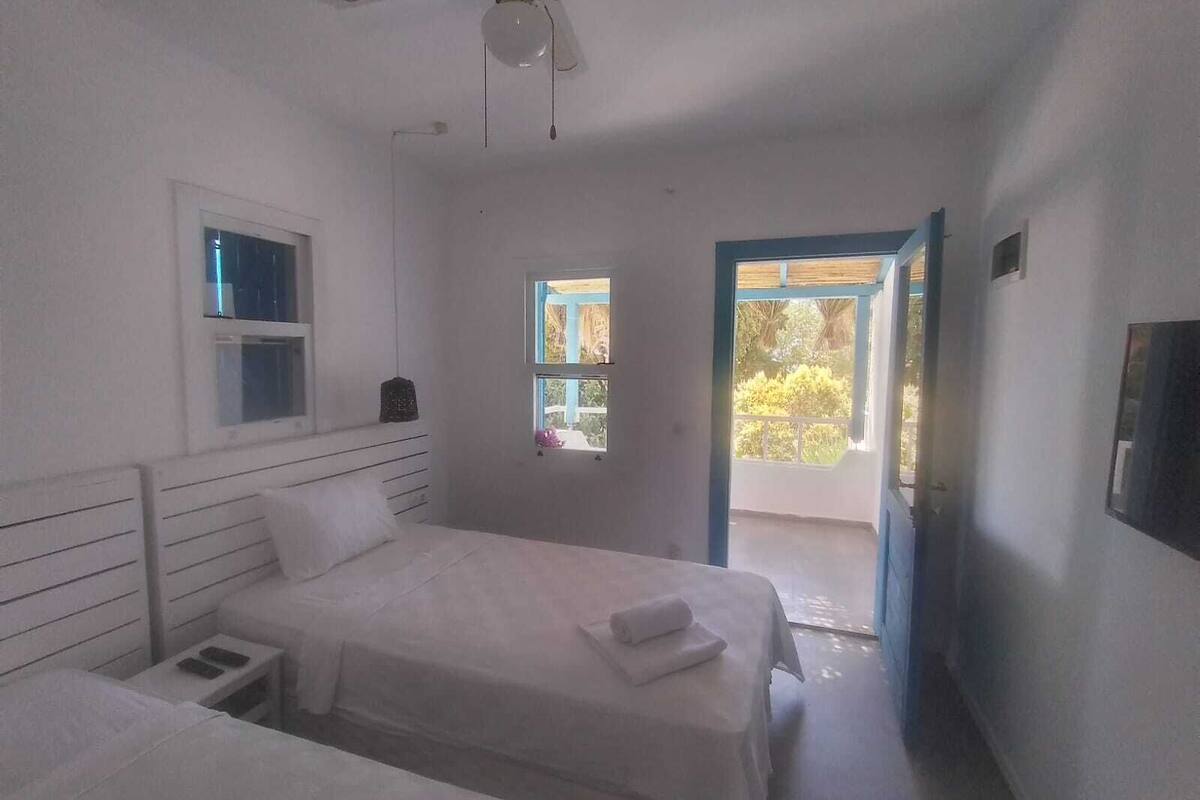 Habitación estándar con 2 camas individuales | Caja de seguridad en la habitación y escritorio