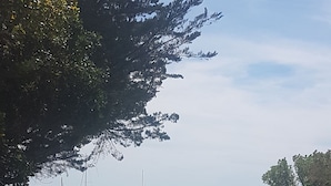Imej tidak diklasifikasikan, 2 daripada 62, butang