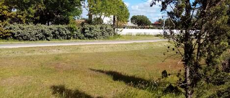 A grassy field with trees and a road in the background.