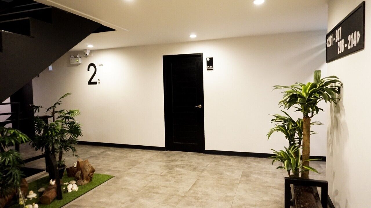 A hallway with a black door marked '204', a staircase to the left, and a potted plant on the right.