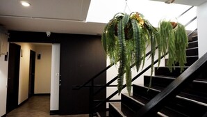 Una escalera con barandilla negra y plantas colgantes verdes.