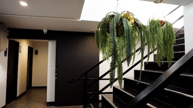 Una escalera con barandilla negra y plantas colgantes verdes.