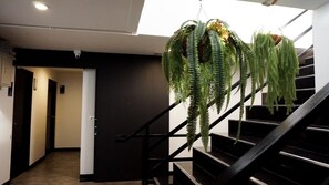 Una escalera con barandilla negra y plantas colgantes verdes.