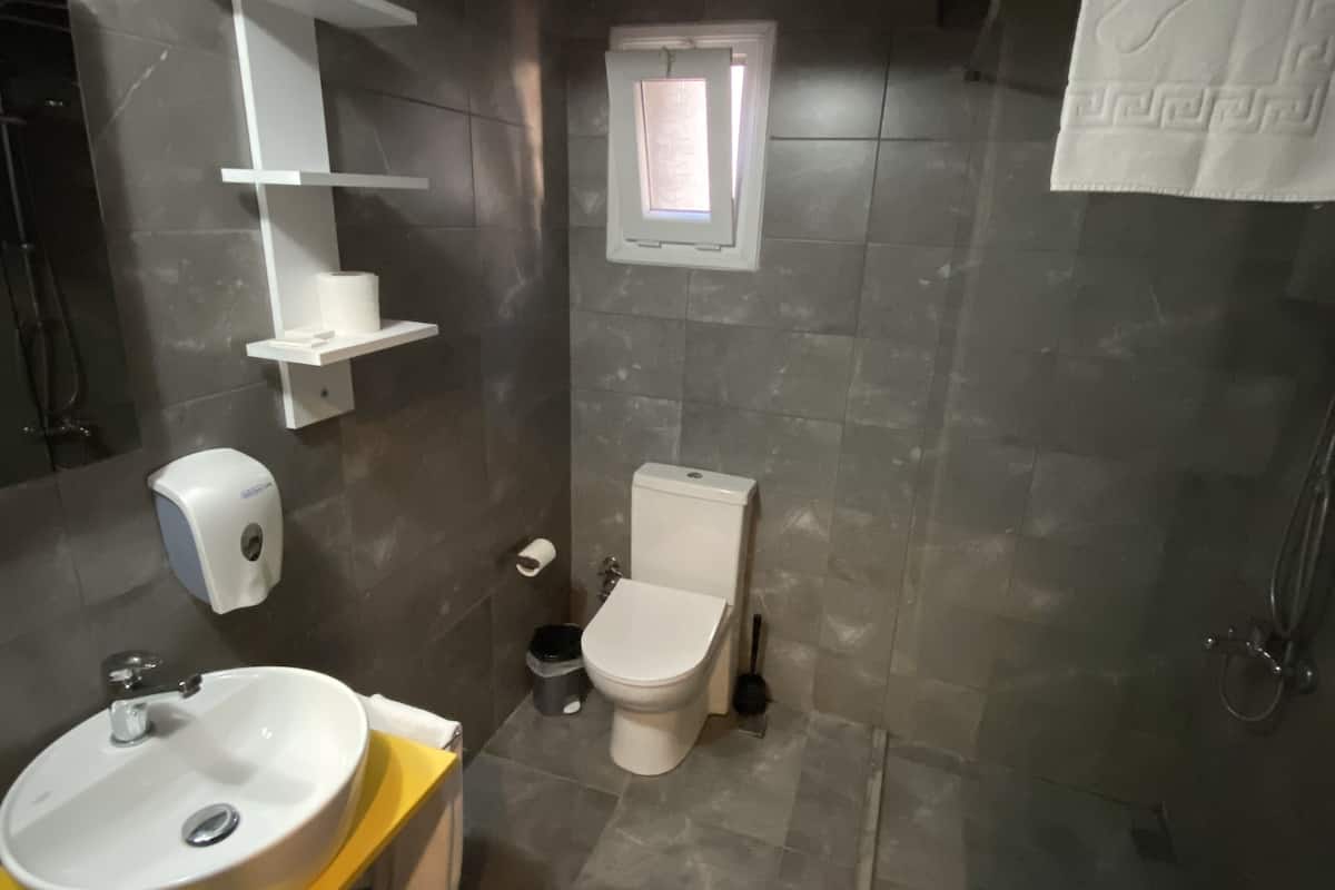 economy double room (exterior private bathroom) | bathroom | shower, hair dryer, slippers, towels