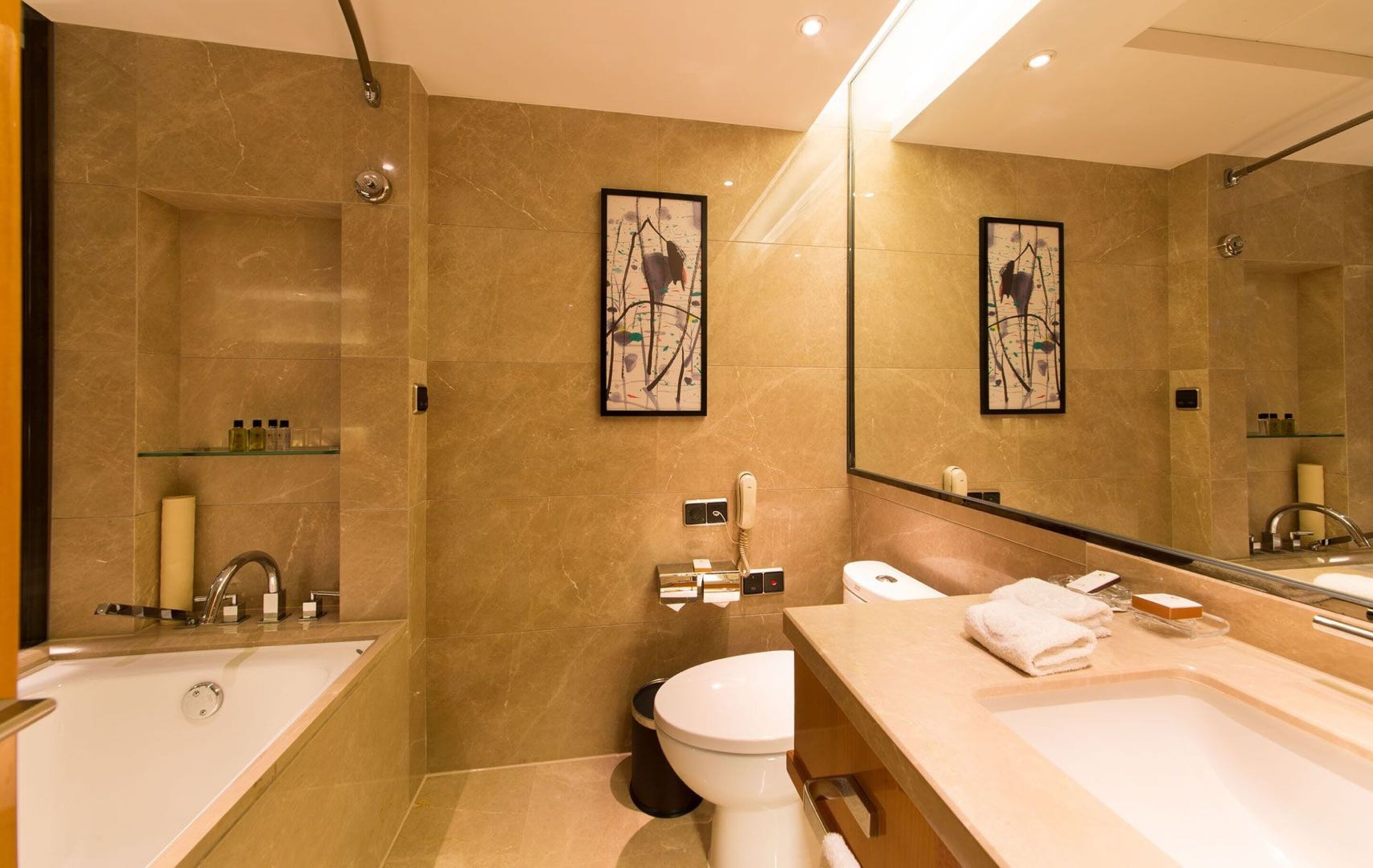 separate bathtub and shower, free toiletries, hair dryer, dressing gowns