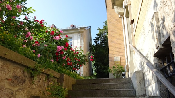 A set of stone steps leading up to a building with a white door, surrounded by lush greenery and blooming pink and red flowers. - Hummel Hostel (Weimar)