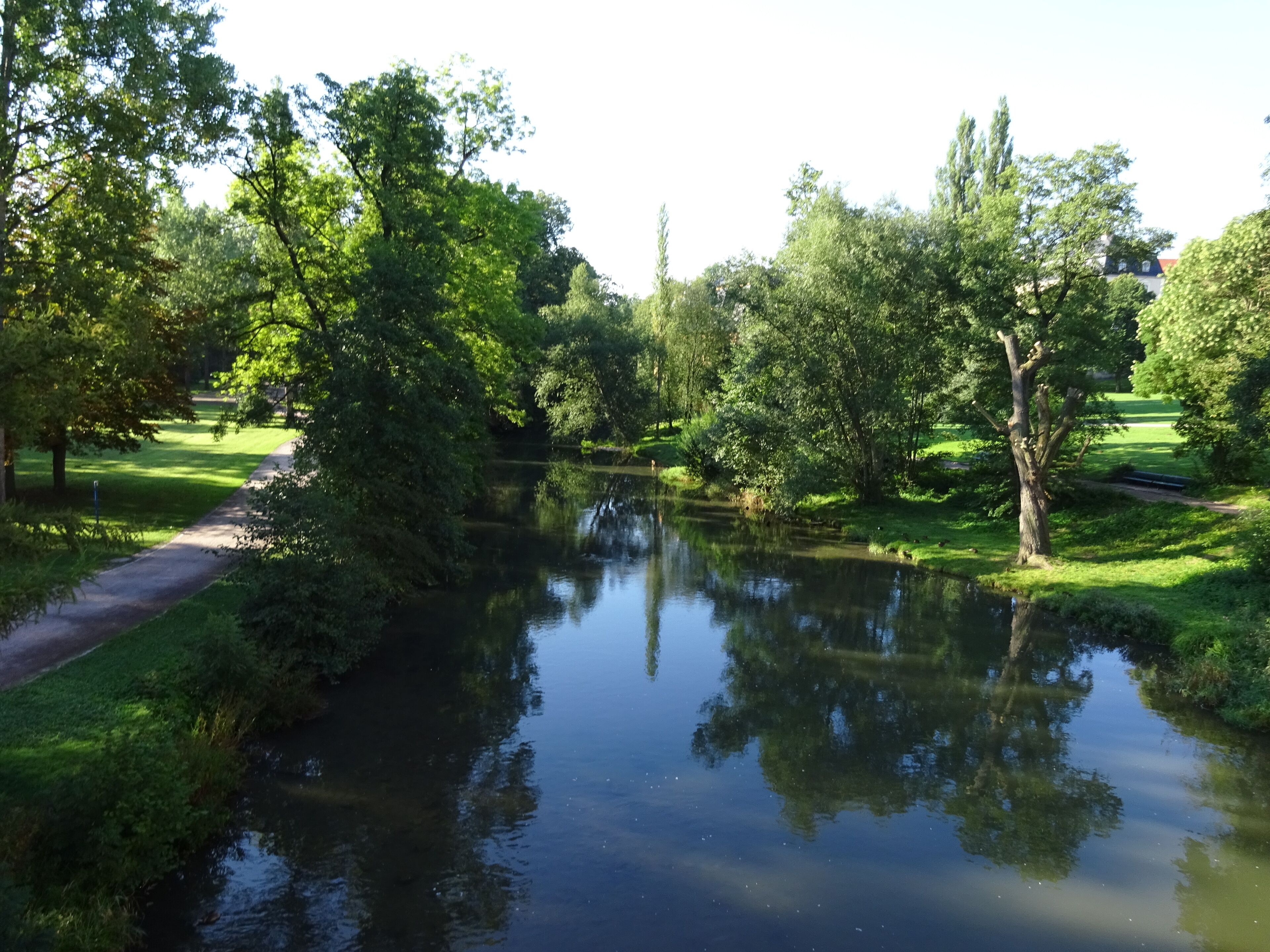 Un río tranquilo con abundante vegetación y árboles reflejándose en el agua.