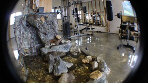 Une salle de sport équipée de matériel d’exercice, une formation rocheuse et un miroir qui reflète la pièce.