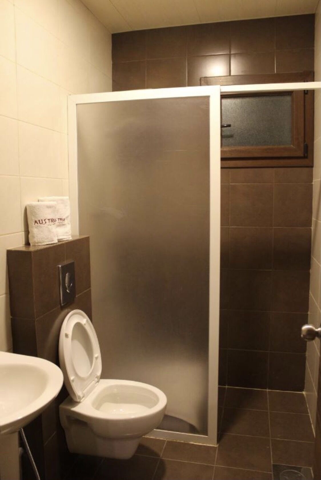 A bathroom with a toilet, sink, and a frosted glass shower enclosure.