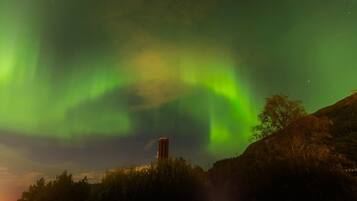 A night sky with the Northern Lights over a forested area with a tall structure.
