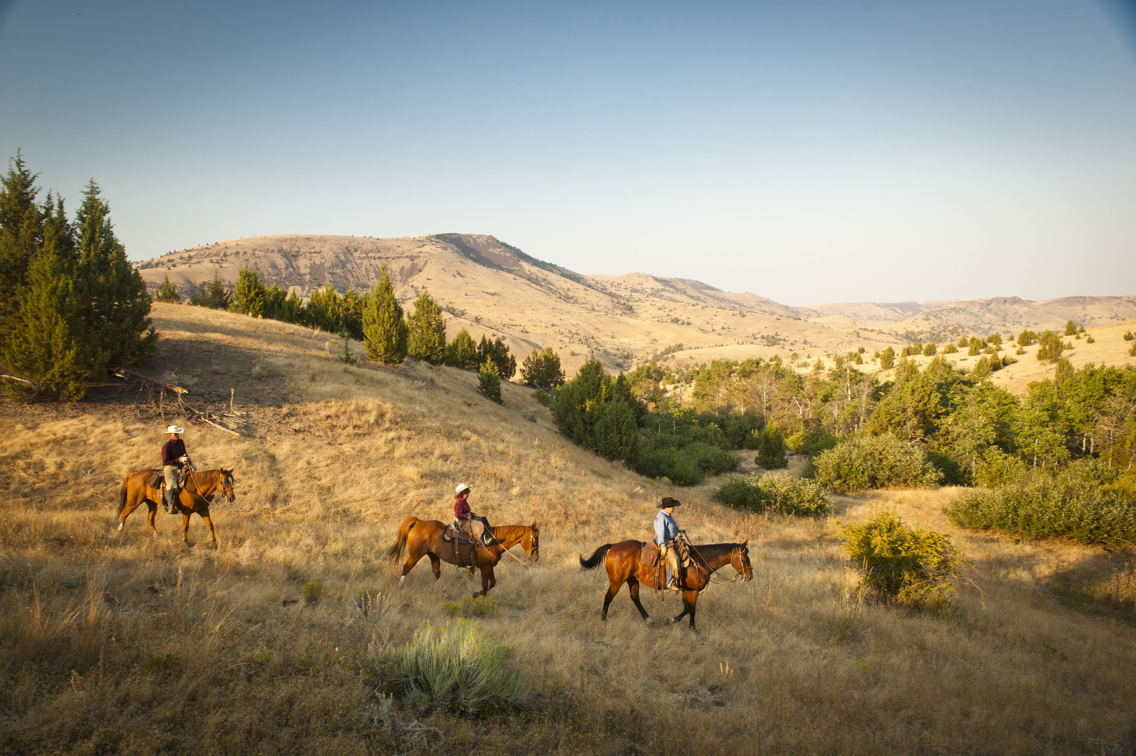 Un paisaje montañoso con tres jinetes a caballo.
