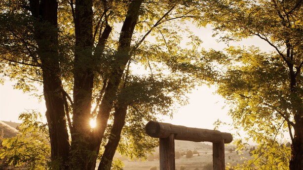 A wooden fence with a rustic gate in a grassy field with trees. - Wilson Ranches Retreat (Fossil)